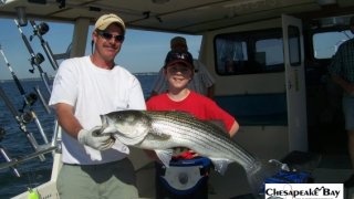 Chesapeake Bay Trophy Rockfish 4 #50