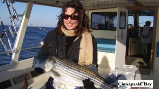 Chesapeake Bay Trophy Rockfish 4 #10
