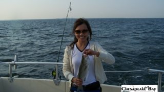 Chesapeake Bay Nice Rockfish 2 #8