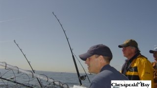Chesapeake Bay Action Shots 2 #28