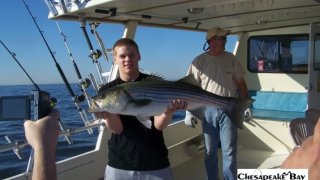 Chesapeake Bay Trophy Rockfish 4 #30