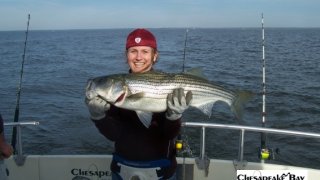 Chesapeake Bay Trophy Rockfish 4 #33