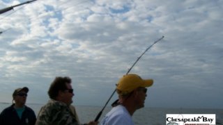 Chesapeake Bay Action Shots 2 #16
