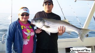 Chesapeake Bay Trophy Rockfish #18