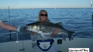 Chesapeake Bay Trophy Rockfish 4 #27