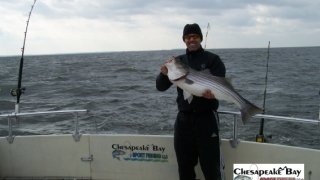 Chesapeake Bay Trophy Rockfish 3 #3