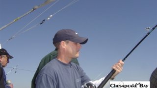 Chesapeake Bay Action Shots 2 #27
