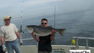 Chesapeake Bay Trophy Rockfish 4 #35