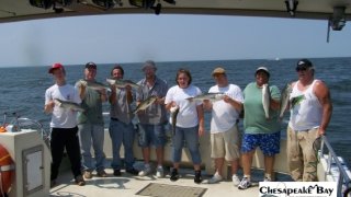 Chesapeake Bay Groups #5