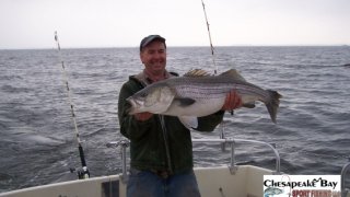 Chesapeake Bay Trophy Rockfish 4 #66