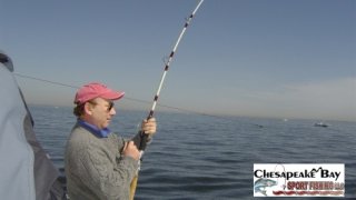 Chesapeake Bay Action Shots 2 #29