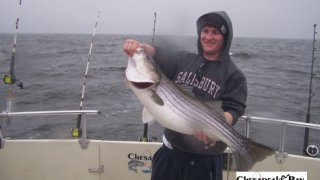 Chesapeake Bay Trophy Rockfish 4 #4