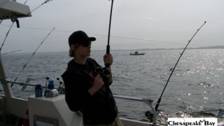 Chesapeake Bay Action Shots 2 #21