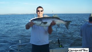 Chesapeake Bay Trophy Rockfish 4 #23