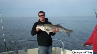Chesapeake Bay Trophy Rockfish 4 #34