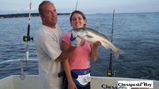 Chesapeake Bay Nice Rockfish #22