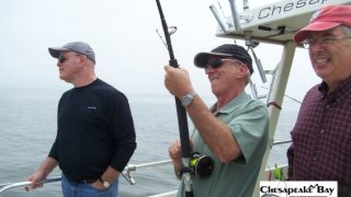 Chesapeake Bay Action Shots 2 #5