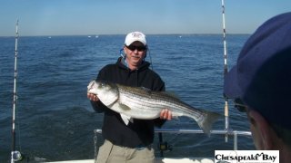 Chesapeake Bay Trophy Rockfish 4 #49