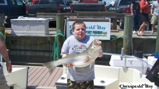 Chesapeake Bay Trophy Rockfish 4 #46