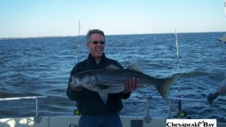 Chesapeake Bay Trophy Rockfish 4 #40