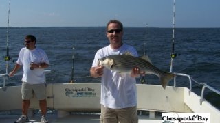 Chesapeake Bay Nice Rockfish #21
