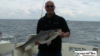 Chesapeake Bay Trophy Rockfish #8