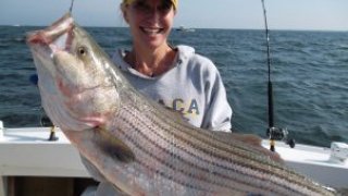 Chesapeake Bay Trophy Rockfish #2