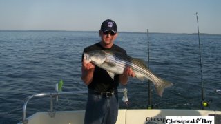 Chesapeake Bay Trophy Rockfish 4 #48