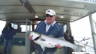 Chesapeake Bay Trophy Rockfish 4 #57
