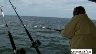 Chesapeake Bay Action Shots 2 #20