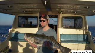 Chesapeake Bay Trophy Rockfish 4 #53