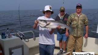 Chesapeake Bay Nice Rockfish #32