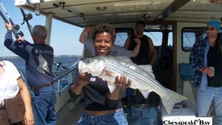 Chesapeake Bay Nice Rockfish 2 #23