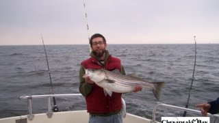 Chesapeake Bay Trophy Rockfish 4 #67