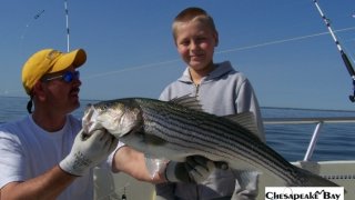 Chesapeake Bay Trophy Rockfish 3 #27