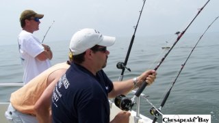 Chesapeake Bay Action Shots 2 #22