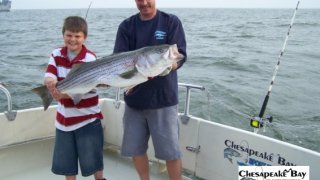 Chesapeake Bay Trophy Rockfish #35