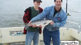 Chesapeake Bay Nice Rockfish 2 #33