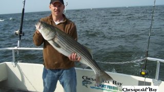 Chesapeake Bay Trophy Rockfish 3 #4
