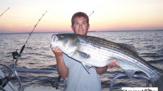 Chesapeake Bay Trophy Rockfish 4 #51