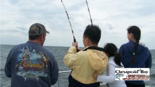 Chesapeake Bay Action Shots #6
