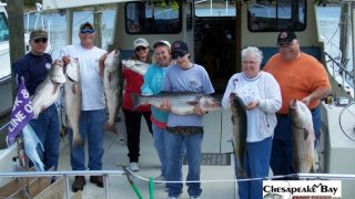 Chesapeake Bay Groups #33