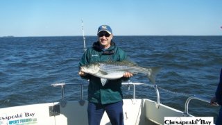 Chesapeake Bay Trophy Rockfish 4 #39