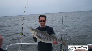 Chesapeake Bay Nice Rockfish 3 #1