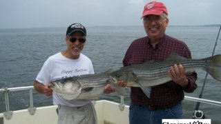 Chesapeake Bay Nice Rockfish 2 #27