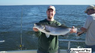 Chesapeake Bay Trophy Rockfish 4 #21