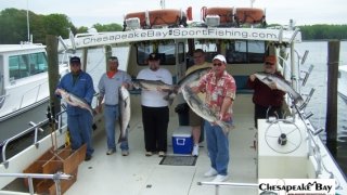 Chesapeake Bay Groups #12