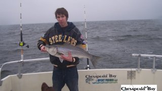 Chesapeake Bay Trophy Rockfish 4 #6