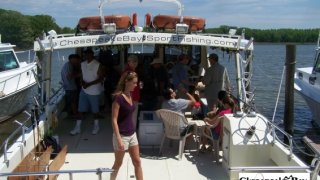 Chesapeake Bay Bay Cruises #1