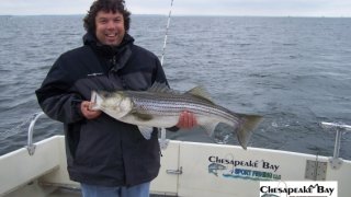 Chesapeake Bay Nice Rockfish 3 #29